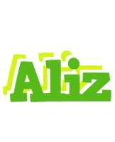 Aliz picnic logo