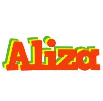 Aliza bbq logo