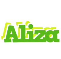 Aliza picnic logo
