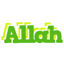 Allah picnic logo