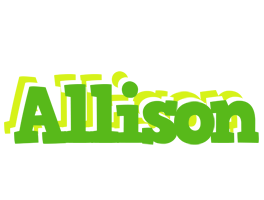 Allison picnic logo