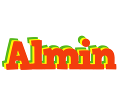 Almin bbq logo