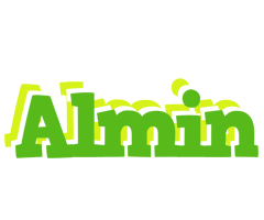 Almin picnic logo