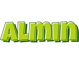 Almin summer logo