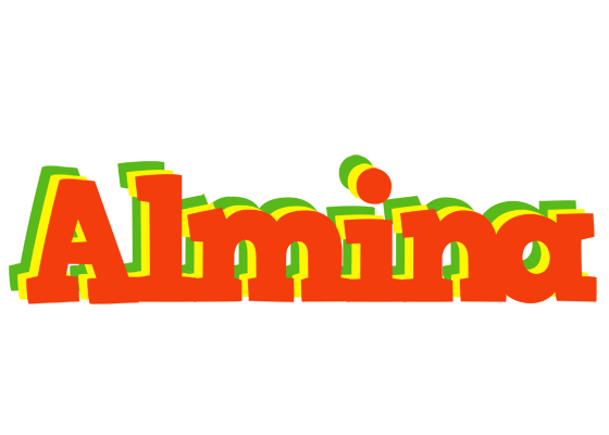 Almina bbq logo