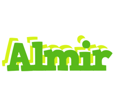 Almir picnic logo