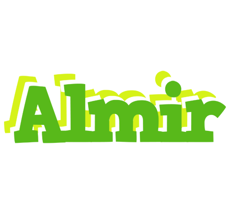 Almir picnic logo