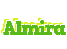 Almira picnic logo