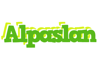 Alpaslan picnic logo