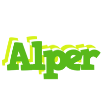 Alper picnic logo