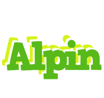 Alpin picnic logo