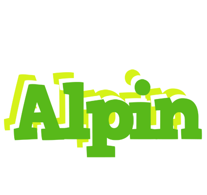 Alpin picnic logo