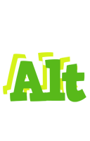 Alt picnic logo