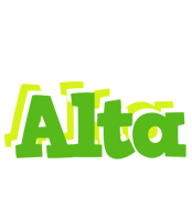 Alta picnic logo