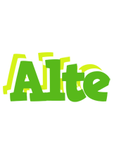 Alte picnic logo