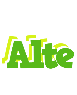 Alte picnic logo