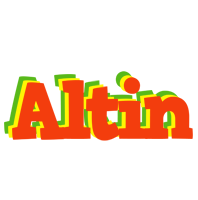 Altin bbq logo