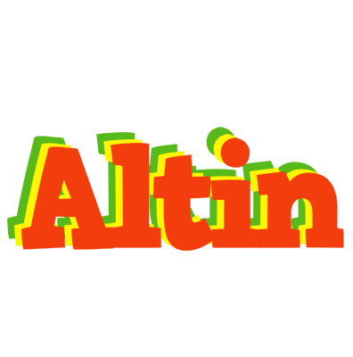 Altin bbq logo