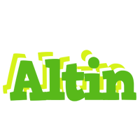 Altin picnic logo