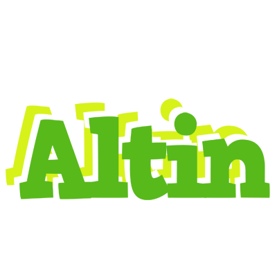 Altin picnic logo