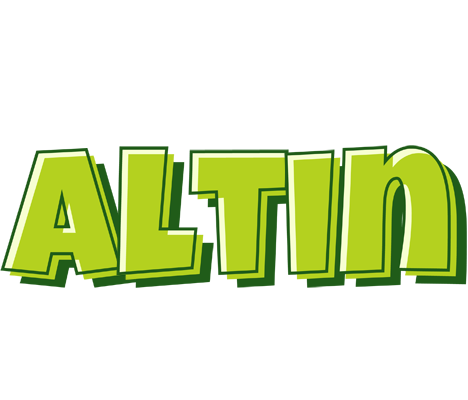 Altin summer logo