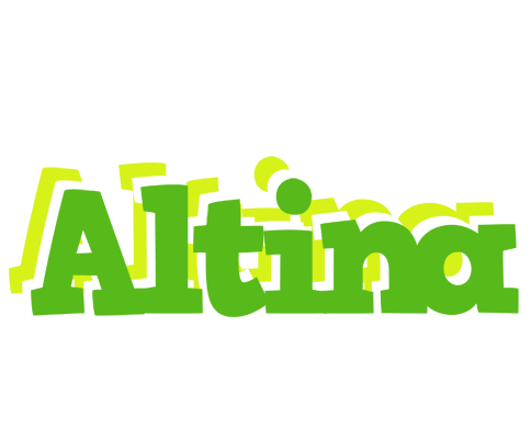 Altina picnic logo
