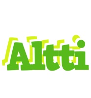 Altti picnic logo