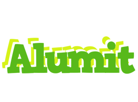 Alumit picnic logo