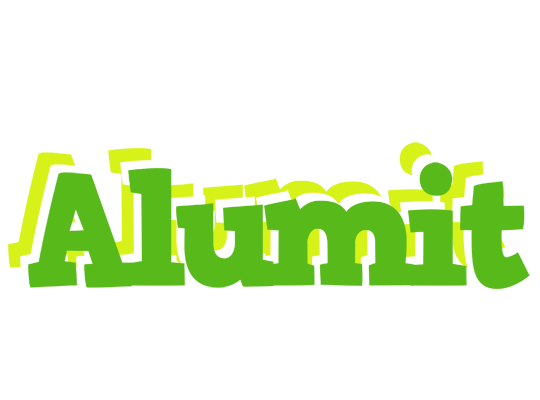 Alumit picnic logo