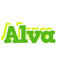 Alva picnic logo