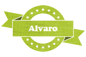 Alvaro change logo