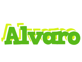 Alvaro picnic logo