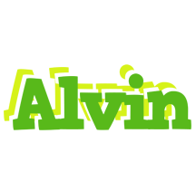 Alvin picnic logo