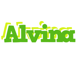 Alvina picnic logo