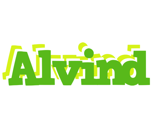 Alvind picnic logo