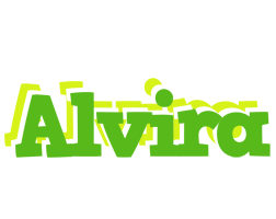 Alvira picnic logo