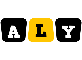 Aly boots logo