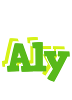 Aly picnic logo