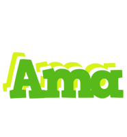 Ama picnic logo