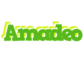 Amadeo picnic logo