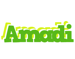 Amadi picnic logo