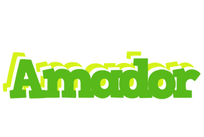 Amador picnic logo