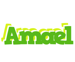 Amael picnic logo