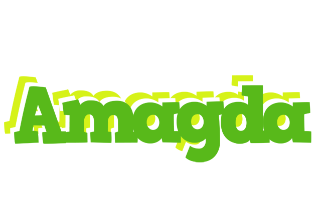 Amagda picnic logo