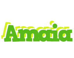 Amaia picnic logo