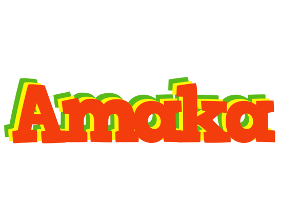 Amaka bbq logo