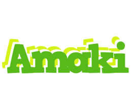 Amaki picnic logo