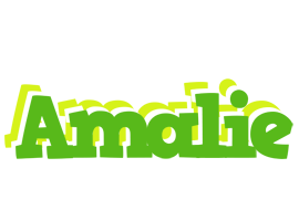 Amalie picnic logo