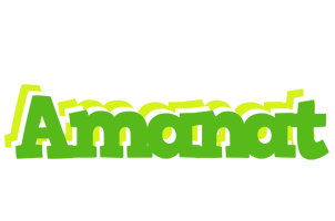 Amanat picnic logo