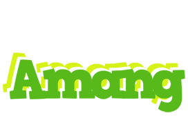 Amang picnic logo